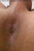 Salvador Bahia Trans Brenda Top  005571991308675 foto selfie 5