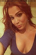 Zwolle Trans Mariel  0031618246320 foto selfie 3
