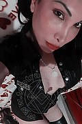 Cinisello Balsamo Trans Jade 389 82 93 343 foto selfie 24