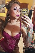Rimini Trans Alessandra Toledo Pornostar 339 67 43 933 foto selfie 85