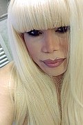 Milano Trans Nicole Vip Venturiny 353 35 38 868 foto selfie 866