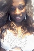 Colonnella Trans Graicy Ohara Pornostar 389 76 96 422 foto selfie 4