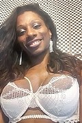 Colonnella Trans Graicy Ohara Pornostar 389 76 96 422 foto selfie 2