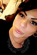 Ginevra Trans Thalya Cyclone 371 39 93 846 foto selfie 52