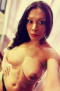 Reggio Emilia Trans Clarissa Ribeiro 380 26 62 801 foto selfie 22