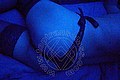 Prato Trans Lucrezia Hikman 351 29 44 990 foto selfie 7