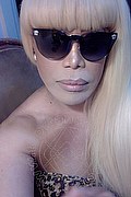 Milano Trans Nicole Vip Venturiny 353 35 38 868 foto selfie 803