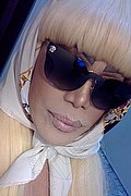 Milano Trans Nicole Vip Venturiny 353 35 38 868 foto selfie 793