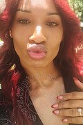 Firenze Trans Kiara Bardo 328 77 52 641 foto selfie 40