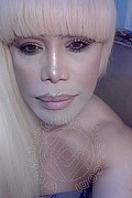 Milano Trans Nicole Vip Venturiny 353 35 38 868 foto selfie 760