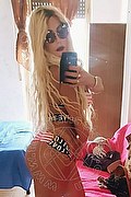 Villa Rosa Trans Barbie Bionda 388 87 76 528 foto selfie 12