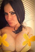 Moncalieri Trans Renata Dotata 366 90 74 656 foto selfie 24