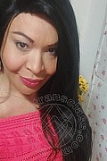 Prato Trans Tain� Oliveira 328 53 82 487 foto selfie 114