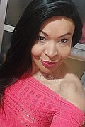 Prato Trans Tain� Oliveira 328 53 82 487 foto selfie 112