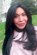 Prato Trans Tain� Oliveira 328 53 82 487 foto selfie 138