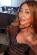 Gallarate Trans Alessandra Sexy 329 17 69 850 foto selfie 4