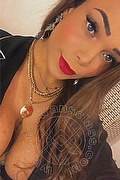  Trans Nicole Moraes 388 75 17 090 foto selfie 41