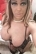 Pavia Trans Channel 338 40 97 317 foto selfie 12
