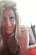 Pavia Trans Channel 338 40 97 317 foto selfie 10