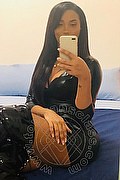 Bergamo Trans Laiza Ts 346 12 24 529 foto selfie 33