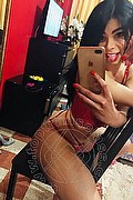 Bologna Trans Ariadna 388 75 19 396 foto selfie 29
