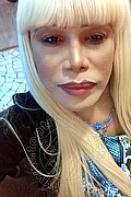 Milano Trans Nicole Vip Venturiny 353 35 38 868 foto selfie 717