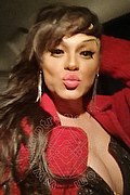 Casarsa Della Delizia Trans Nicole Marques Pornostar 329 10 51 481 foto selfie 17