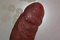La Spezia Trans Isabella Tx 333 16 78 031 foto selfie 20