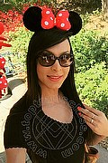 Catanzaro Trans Anna Hickhiman Pornostar 320 01 28 239 foto selfie 6