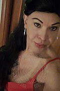 Prato Trans Tain� Oliveira 328 53 82 487 foto selfie 98