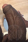 Cannes Trans Paula Xxl 376 29 61 336 foto selfie 30