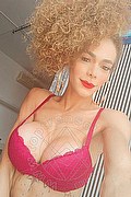 Viareggio Trans Vivianne 388 80 05 253 foto selfie 4