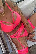 Roma Trans Arianna Ferrari Pornostar 389 61 78 417 foto selfie 51