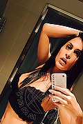 Conegliano Trans Talissa Castro 327 63 59 233 foto selfie 17