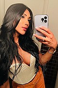 Ospitaletto Trans Graziella Farias 351 58 74 125 foto selfie 13