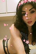 Roma Trans Wendy 320 15 06 080 foto selfie 109