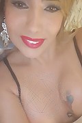 Milano Trans Izabelli Frazao Pornostar 327 66 19 130 foto selfie 21