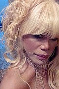 Milano Trans Nicole Vip Venturiny 353 35 38 868 foto selfie 672