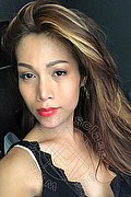  Trans Liisa Asiatica Ladyboy 348 90 26 722 foto selfie 55