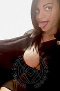 Prato Trans Lucrezia Hikman 351 29 44 990 foto selfie 30