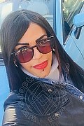 Prato Trans Lucrezia Hikman 351 29 44 990 foto selfie 53