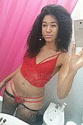 Busto Arsizio Trans Amanda Ferre' 347 53 82 615 foto selfie 31