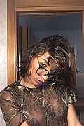 Firenze Trans Kiara Bardo 328 77 52 641 foto selfie 19