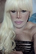 Milano Trans Nicole Vip Venturiny 353 35 38 868 foto selfie 697