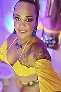 Marina Di Carrara Trans Francesca Dolce 320 75 36 583 foto selfie 13