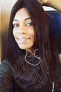Bologna Trans Naomy Xl 329 01 67 932 foto selfie 24