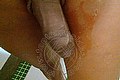 Bologna Trans Naomy Xl 329 01 67 932 foto selfie 148