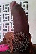 Bologna Trans Naomy Xl 329 01 67 932 foto selfie 110