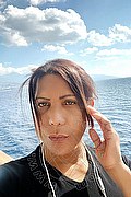 Rovigo Trans Nikoll 350 83 00 505 foto selfie 4