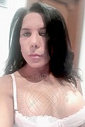 Rovigo Trans Nikoll 350 83 00 505 foto selfie 7